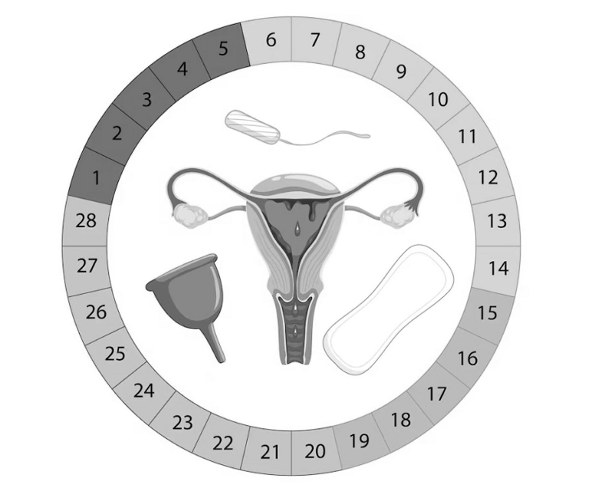 Incinta col ciclo