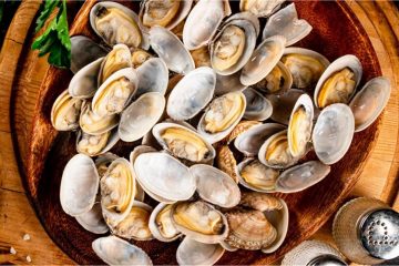 Vongole in gravidanza