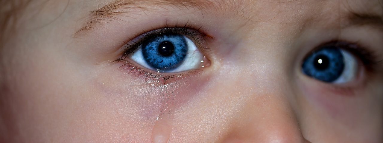 l’immagine rappresenta un bambino