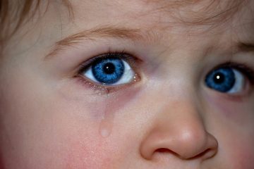 l’immagine rappresenta un bambino